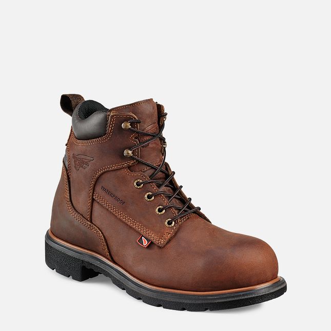 Red Wing Dynaforce® 6-inch Wasserdichte Sicherheitsschuhe Herren Braun | 2964-OWGBV