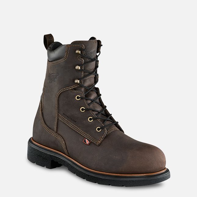 Red Wing Dynaforce® 8-inch Insulated, Wasserdichte Sicherheitsschuhe Herren Braun | 6412-RUIMS