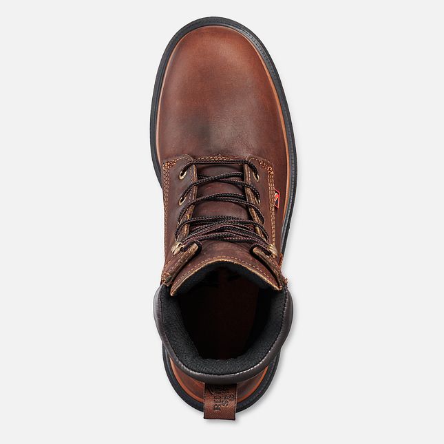 Red Wing Dynaforce® 8-inch Wasserdichte Schuhe Herren Braun | 0623-IEBQT