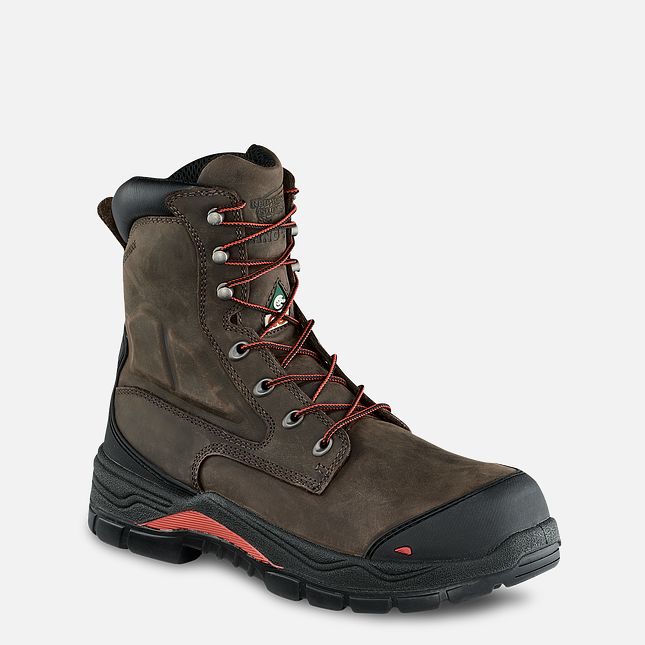 Red Wing King Kappe® Adc 8-inch Insulated, Wasserdichte CSA Sicherheitsschuhe Herren Braun | 9502-ZBRWK