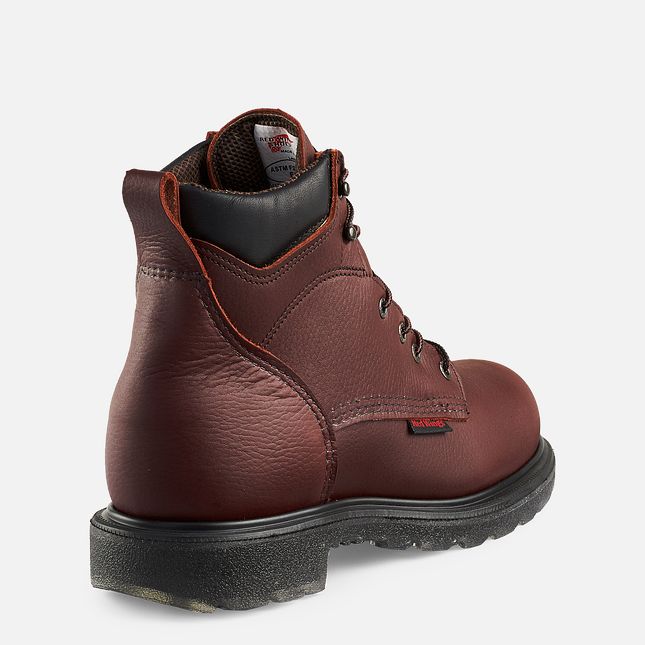 Red Wing Supersole® 2.0 6-inch Wasserdichte Arbeitsstiefel Herren Braun | 1246-VUPMH