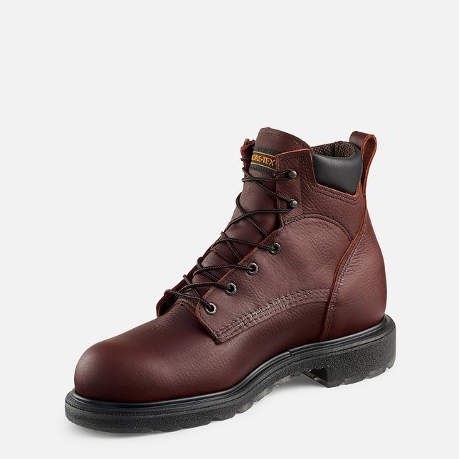 Red Wing Supersole® 2.0 6-inch Wasserdichte Arbeitsstiefel Herren Braun | 9186-UTPVQ