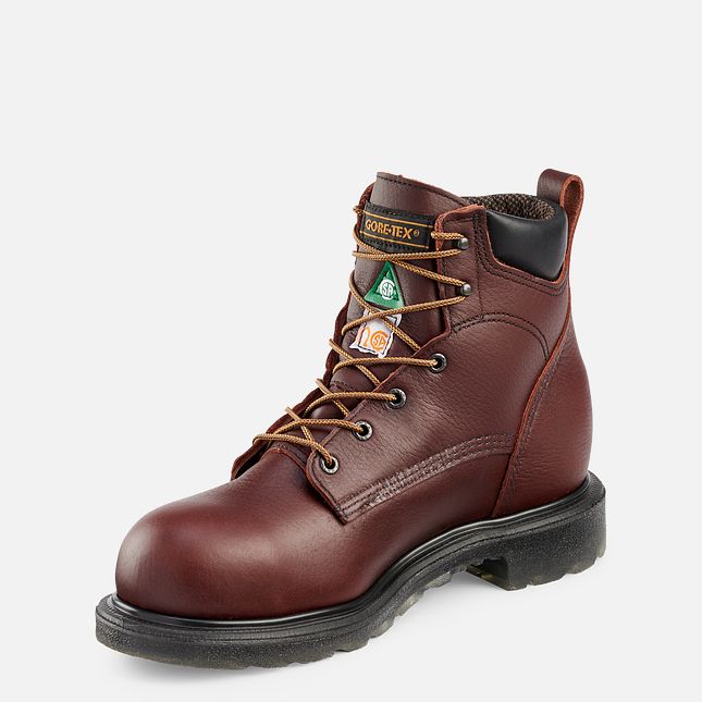 Red Wing Supersole® 2.0 6-inch Wasserdichte CSA Sicherheitsschuhe Herren Braun | 9861-MBZNL