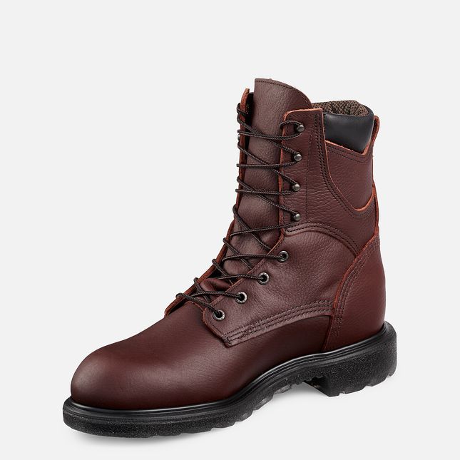 Red Wing Supersole® 2.0 8-inch Insulated, Wasserdichte Arbeitsstiefel Herren Braun | 1365-HTMJR