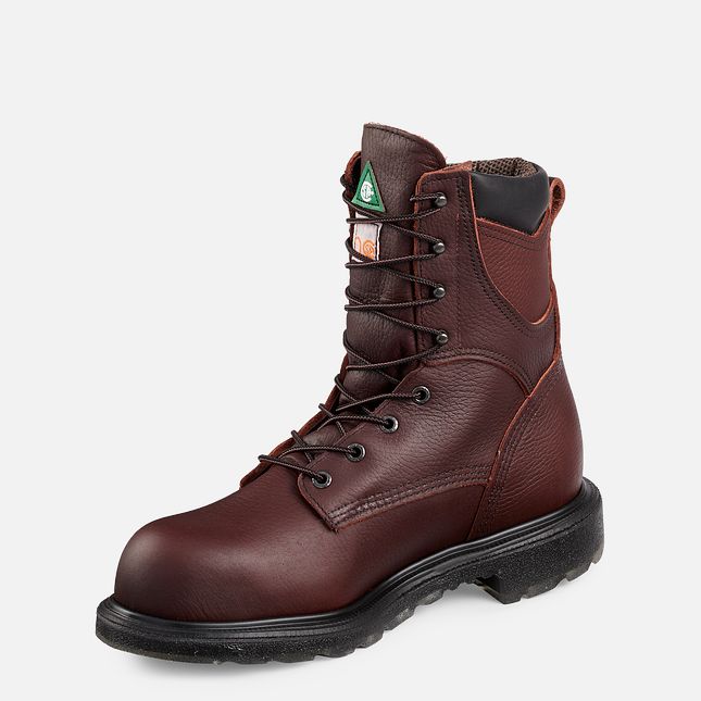 Red Wing Supersole® 2.0 8-inch Insulated CSA Wasserdichte Schuhe Herren Braun | 3528-LVIFU