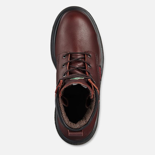 Red Wing Supersole® 2.0 8-inch Insulated CSA Wasserdichte Schuhe Herren Braun | 3528-LVIFU