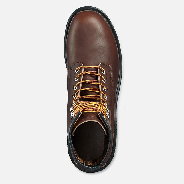 Red Wing Supersole® 8-inch Arbeitsstiefel Herren Braun | 7382-QMJLZ