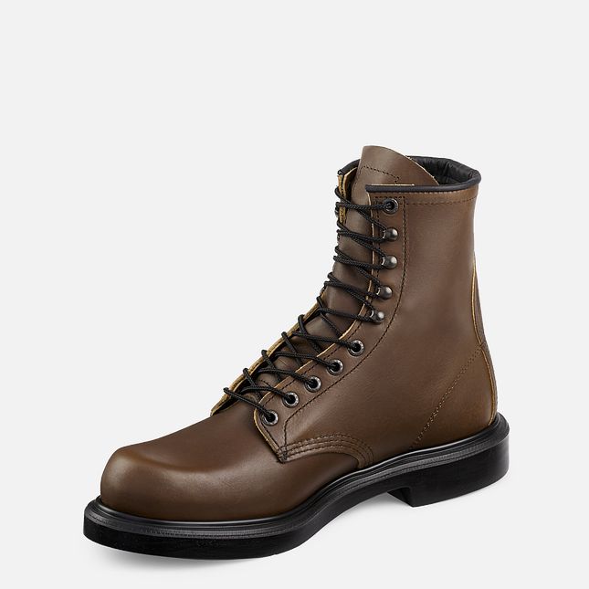 Red Wing Supersole® 8-inch Arbeitsstiefel Herren Braun | 7591-KHOYP