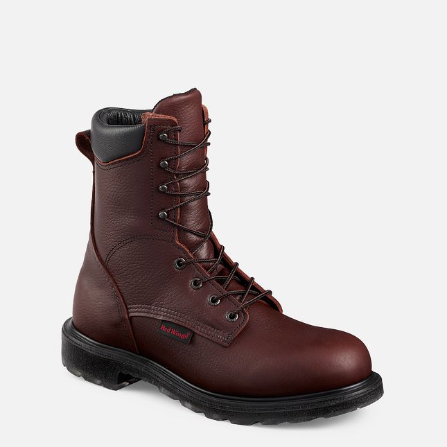 Red Wing Supersole® 2.0 8-inch Arbeitsstiefel Herren Braun | 3618-WYZPL